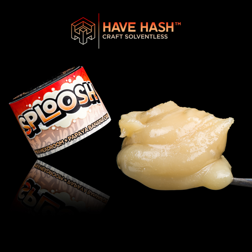 HAVE HASH - Cold Cure Rosin - Sploosh - T3 - Concentrates - 2.0g