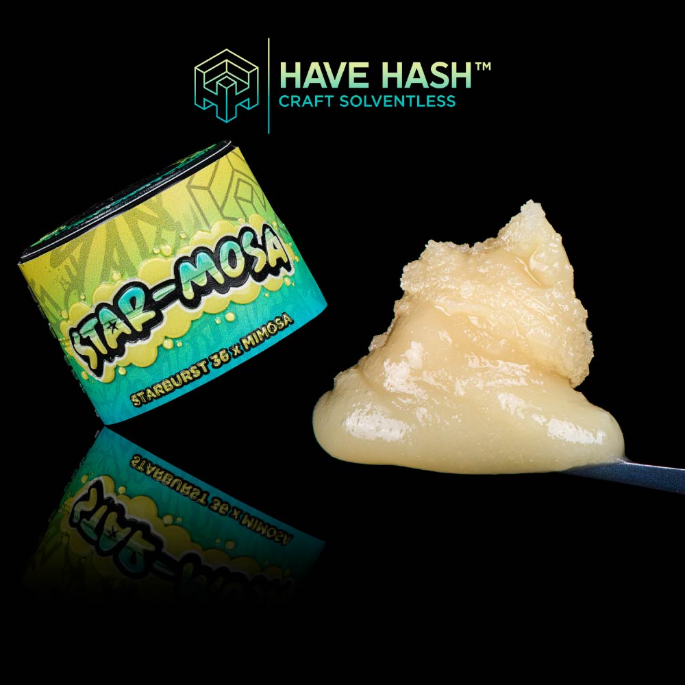 HAVE HASH - Cold Cure Rosin - Star-Mosa - T2 - Concentrates - 1.0g