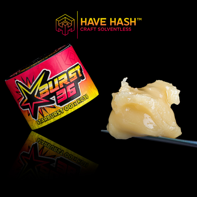 Have Hash - Cold Cure Rosin - SBurst 36 T2 - Concentrate - 2.0g