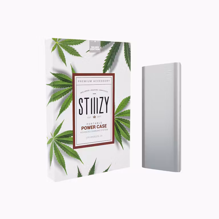 STIIIZY Starter Kit - Silver