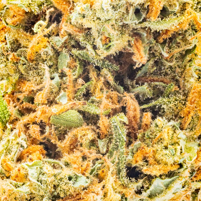Shop Super Lemon Haze Online | Hyperwolf