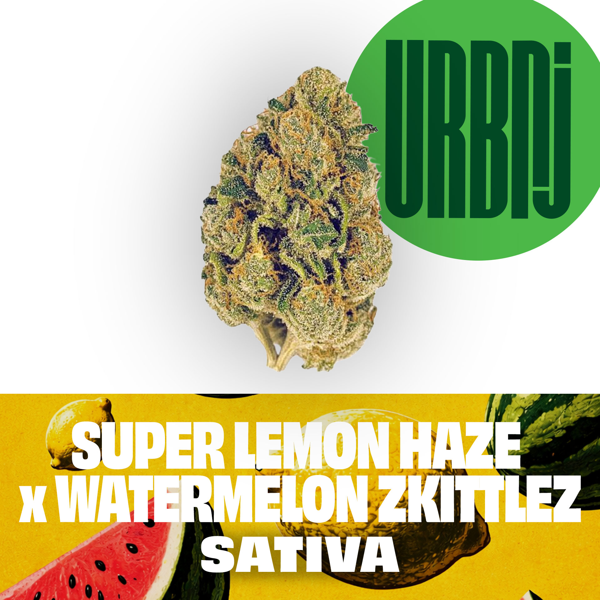 URBNJ Super Lemon Haze x Watermelon Zkittlez 14g Flower