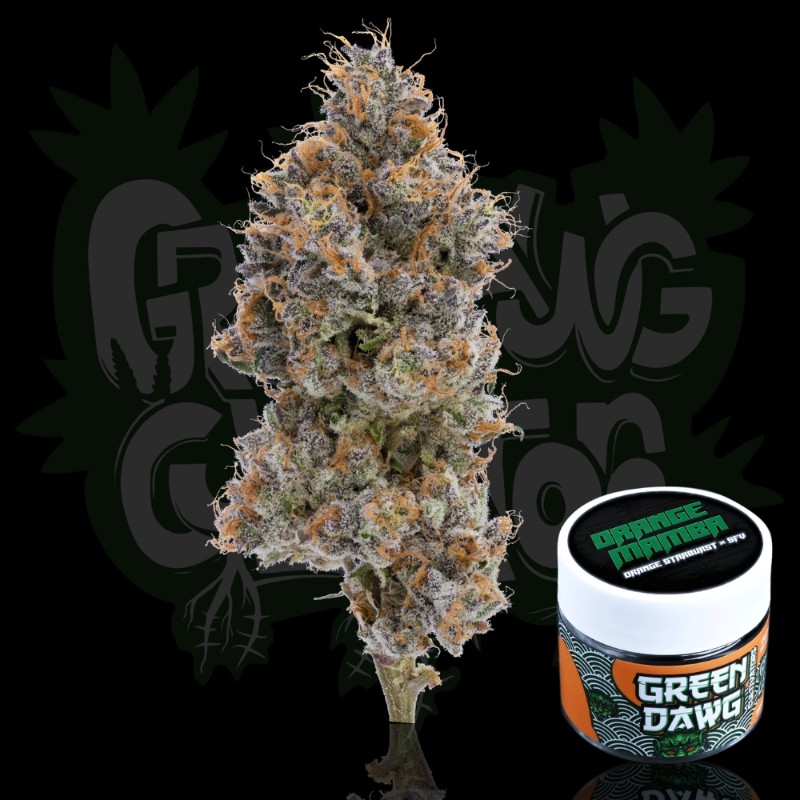 Green Dawg Cultivators Orange Mamba (H) Flower 3.5g