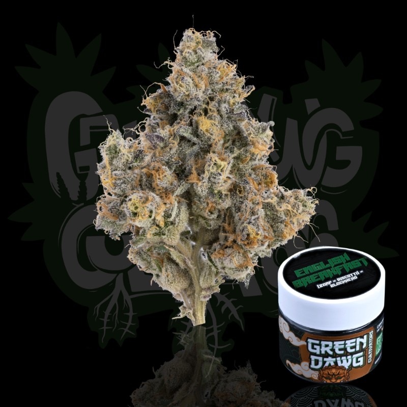 Green Dawg Cultivators English Breakfast (H) Flower 3.5g