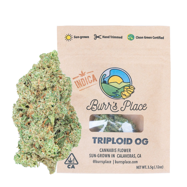 Triploid OG (I) 3.5g 8th SMALLS - Burr's Place Organics