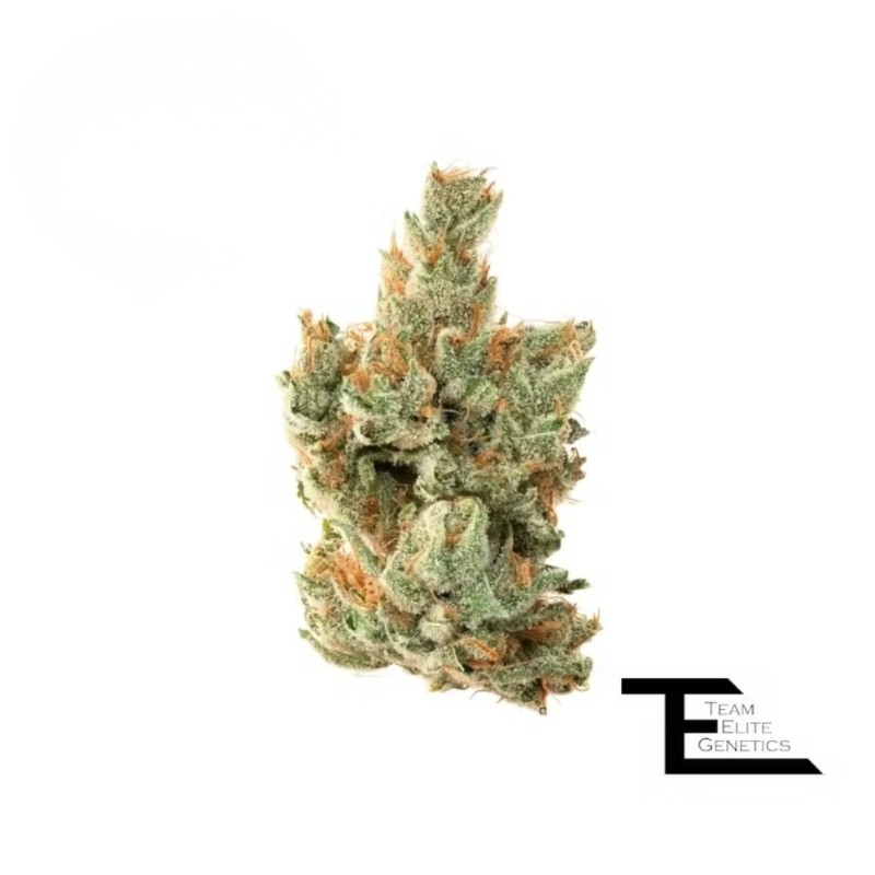 Team Elite Waffle Iron (I) Flower 3.5g