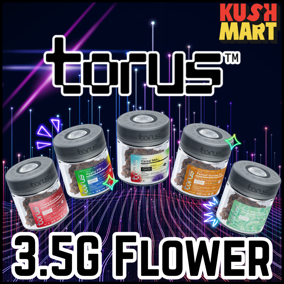 Torus | Watermelon Martini | DOH | 3.5g