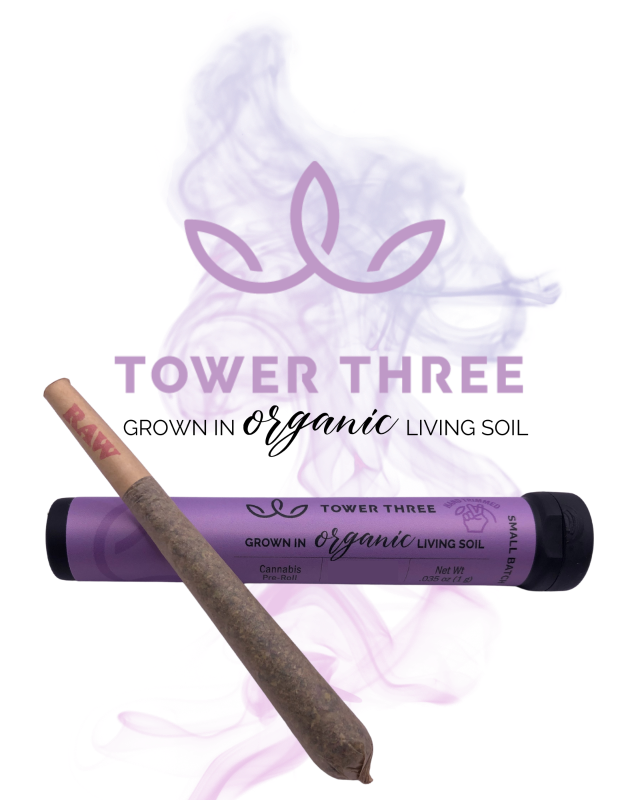 Raspberry Mango TK - Organic Pre Roll | 1g