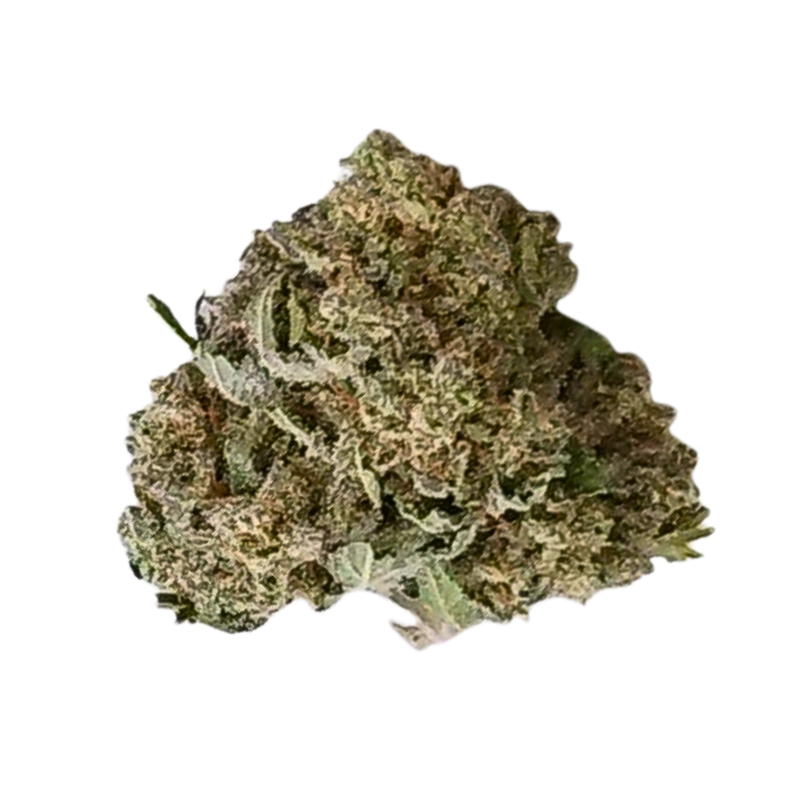 GP Triks F7 | 7g