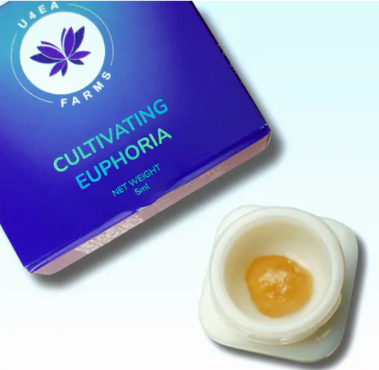 Cherry Whip Live Rosin