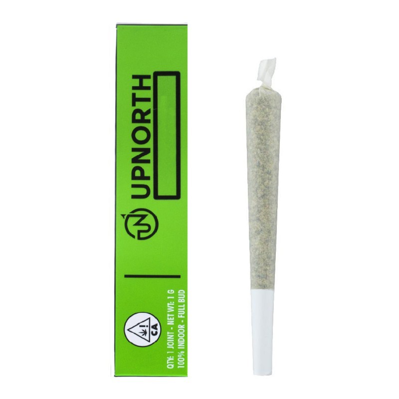 UpNorth: Purple Kush
