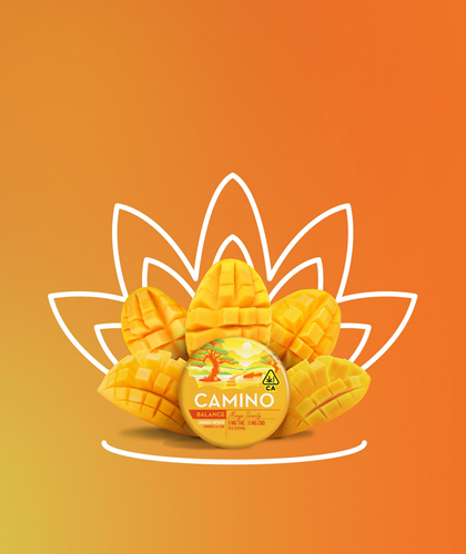 Kiva Camino 20pk Mango Serenity CBD 1:1