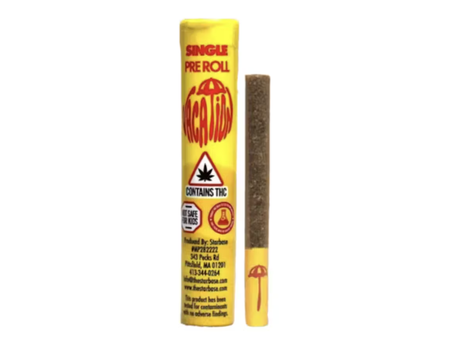 Vacation Mega Black Cherry 0.5g 2pk Prerolls