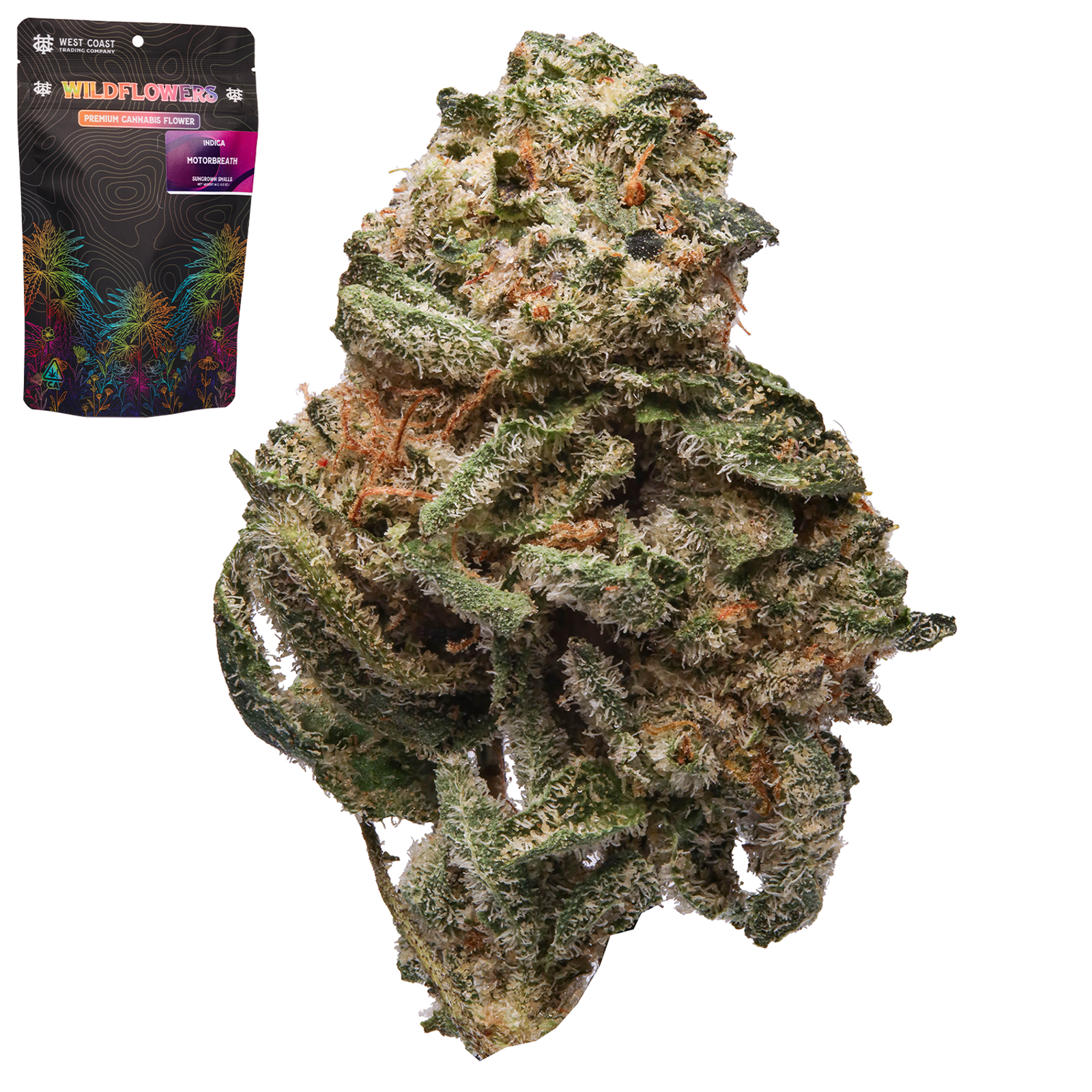 West Coast Trading Company Motor Breath Half Ounce Smalls