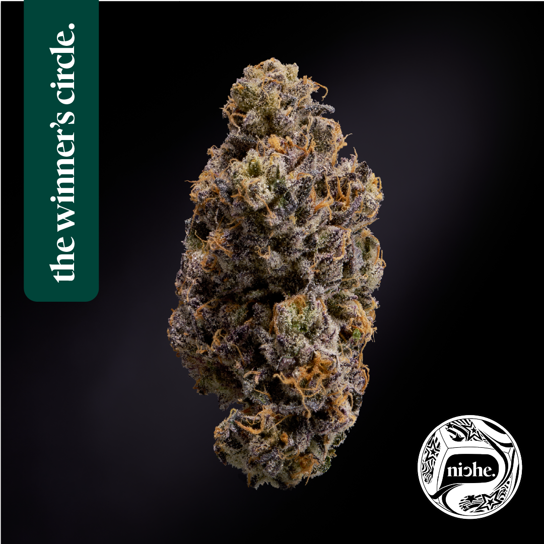 Niche | Pink Ink | 1g