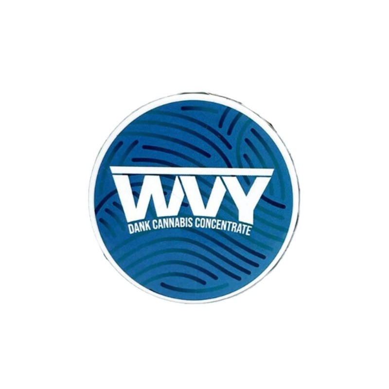 WVY: Larry Bird