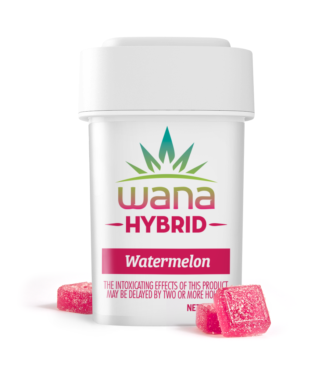 Classic Watermelon Hybrid Chews [10 Pack] | 100mg