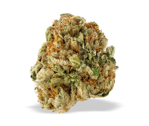 UB Watermelon Freeze | 3.5g