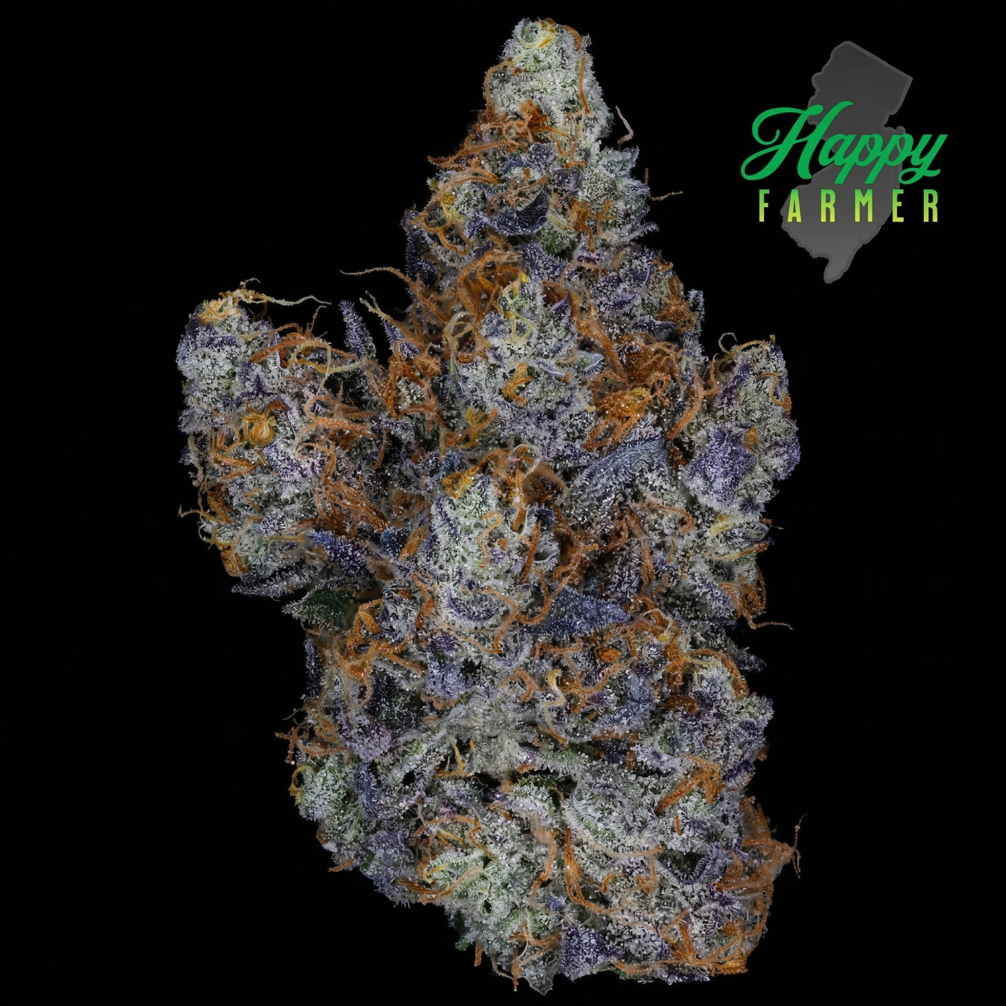 Happy Farmer | Candied Garlic | 7g