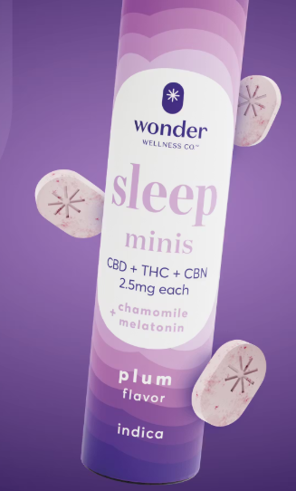 Wonder Minis- Sleep Mints 1:1:1 THC:CBD:CBN Plum -40pk- | 100mg
