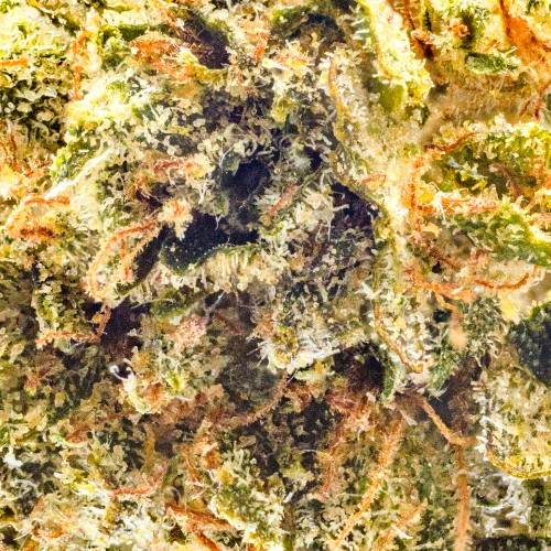 Woodwide Zkittlez Quarter Ounce Smalls