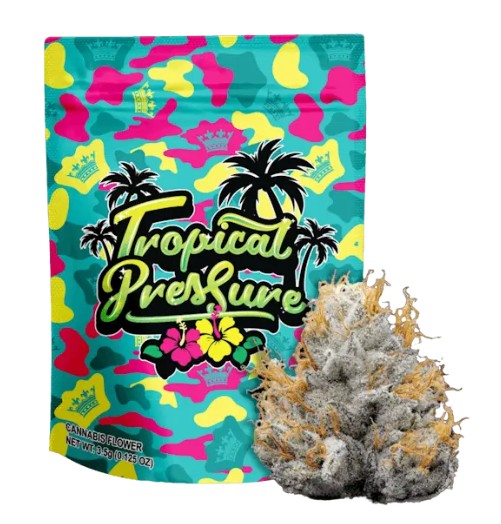 Your Highness Tropical Pressure Oso