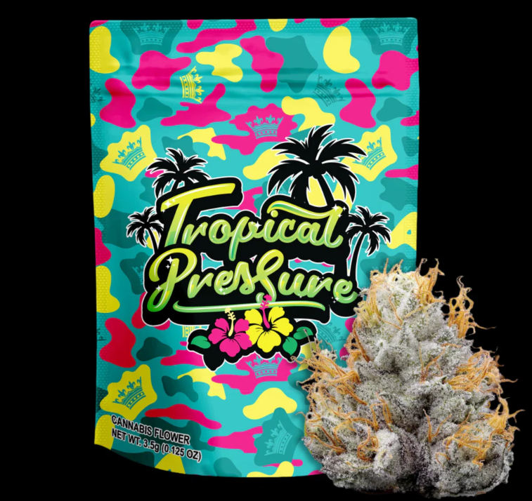 Your Highness Tropical Pressure x OSO 3.5g