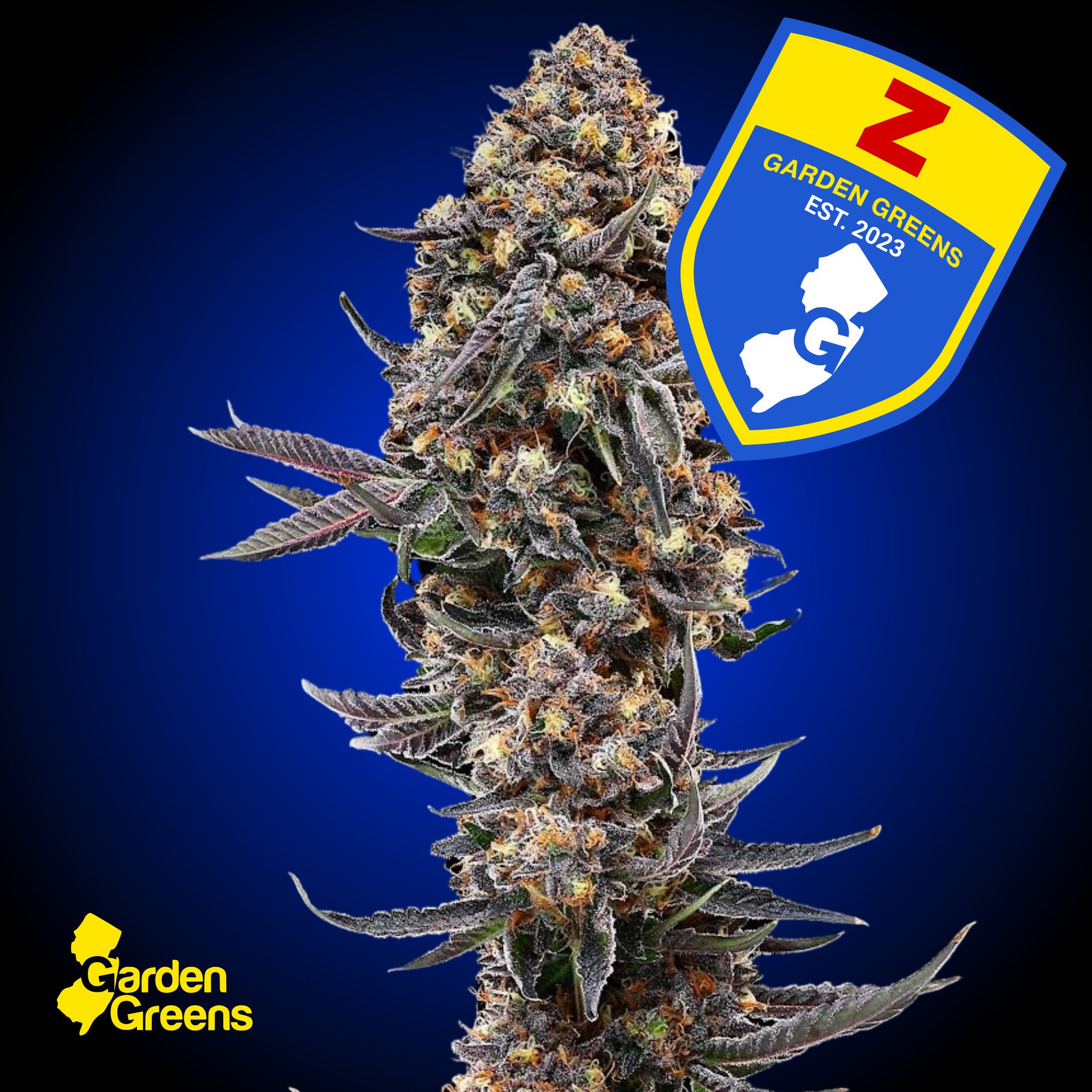 Z | 3.5g - 3.5g | Flower | Garden Greens | Molly Ann Farms (Rec