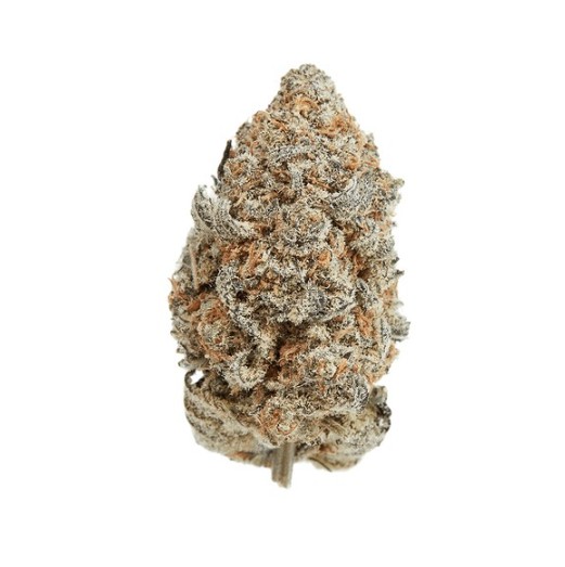 ZKITTLEZ 3.5G