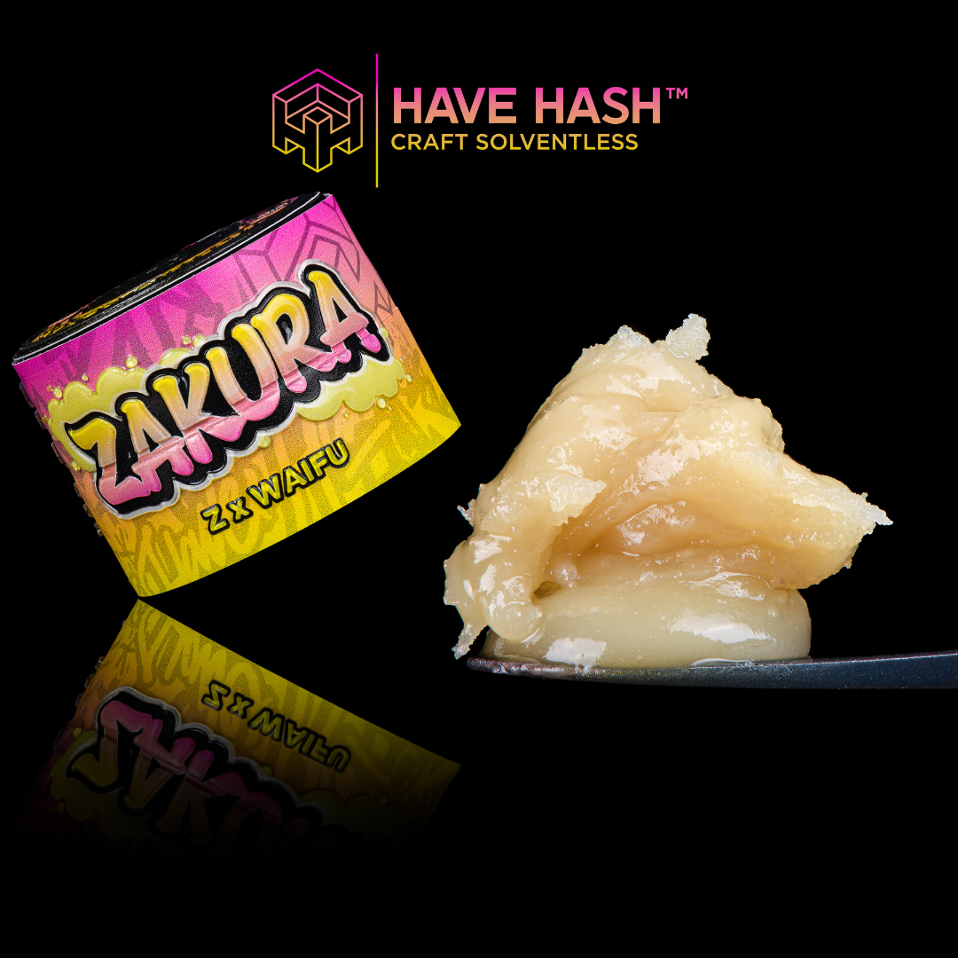 HAVE HASH - Cold Cure Rosin - Zakura - T2 - Concentrates - 1.0g
