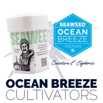 Purple Pineapple Express | Ocean Breeze | 3.5g