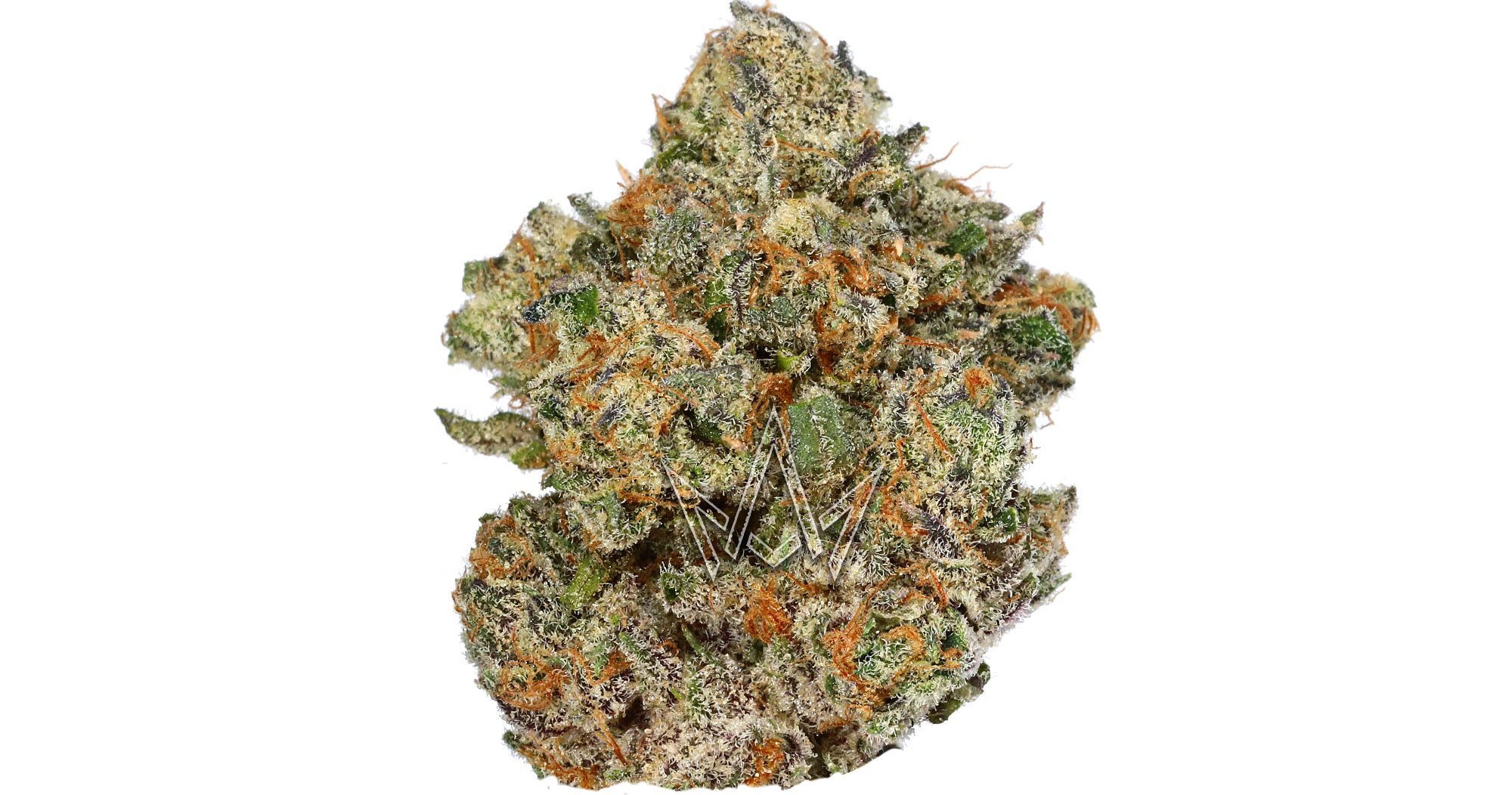 CAM Alien Runtz Private Reserve 14g San Diego, Vista & Imperial