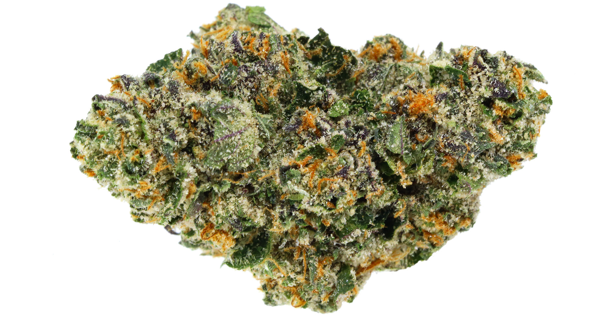 Ted's Budz Tuna Belly 3.5g San Diego, Vista & Imperial Cannabis