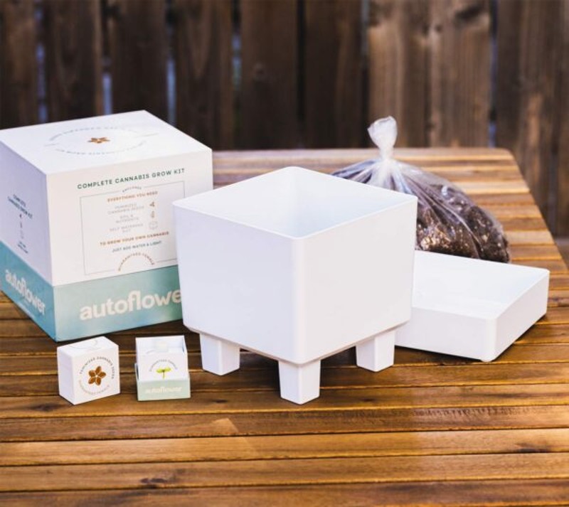 Autoflower Grow Kit