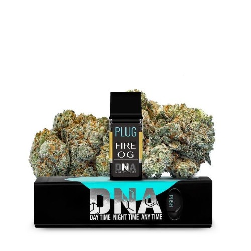 PLUG PLAY - Fire OG DNA - 1g - Vape