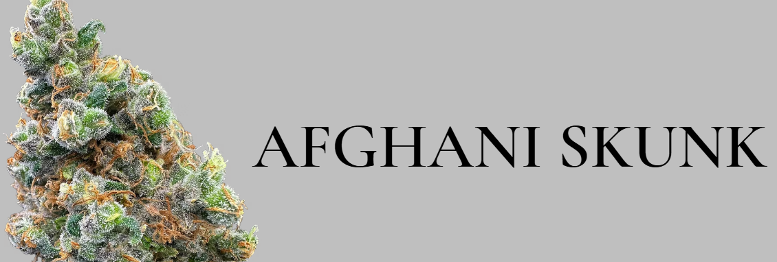 Afghani Skunk | 3.5g