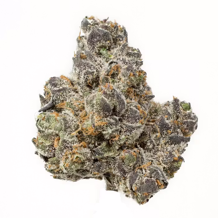 BD Apple Fritter | 3.5g