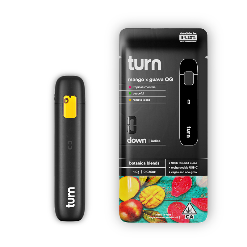 Turn Mango x Guava (I) AIO 1g