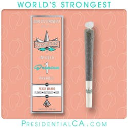 1g Preroll Peach Mango (infused) Presidential