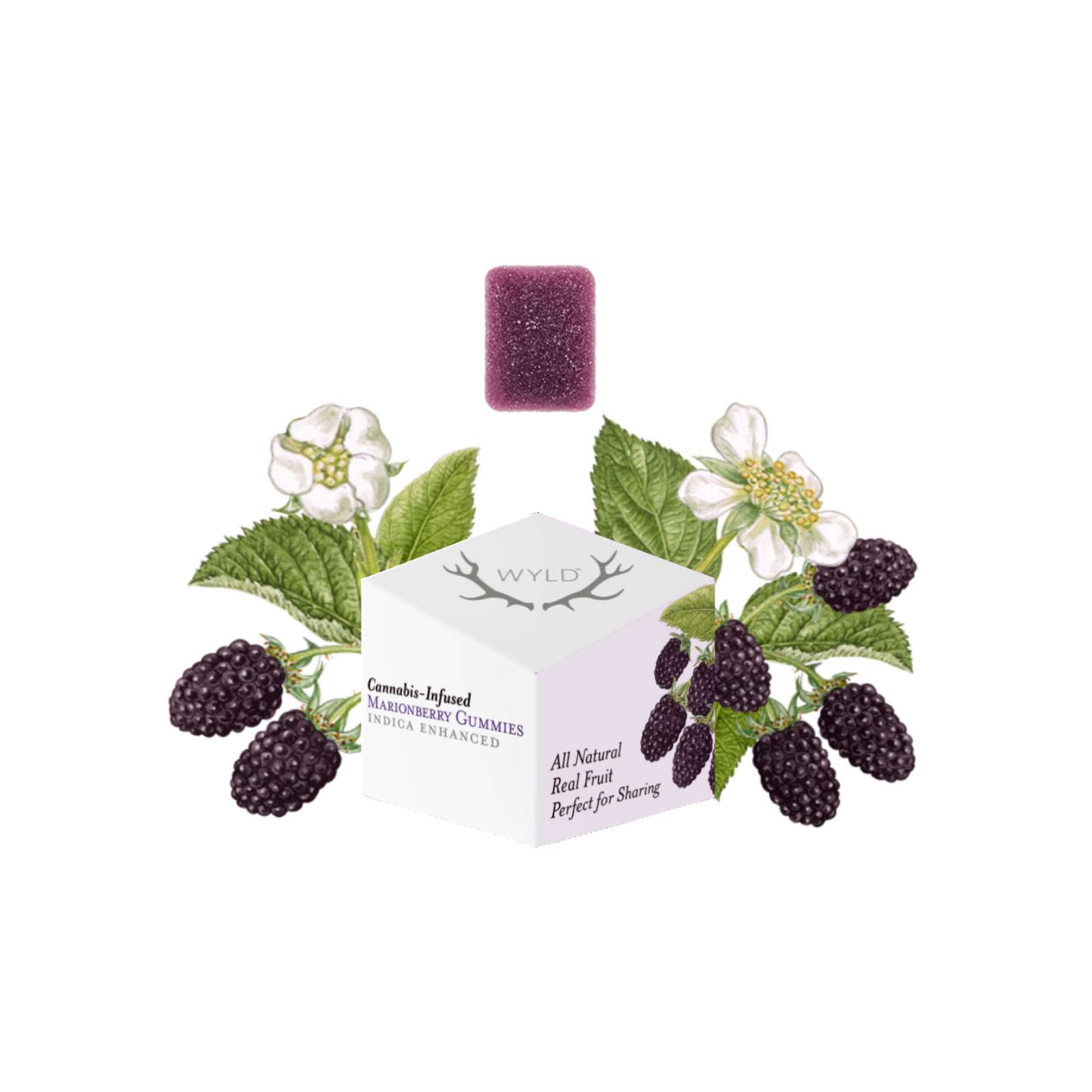 Marionberry "Mellow" Gummies | Wyld