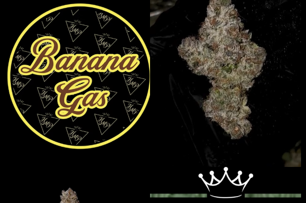 Banana Gas | 3.5g