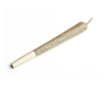 Root & Bloom Gelato Punch 1g Preroll