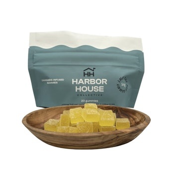Prickly Pear | Hash Rosin Gummies | 20pk | 100mg