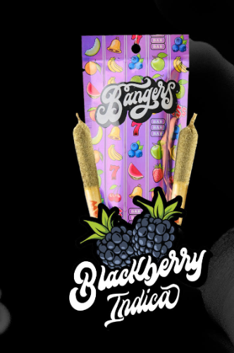 BANGERS - Blackberry Infused 2pk - 1.2g - Preroll