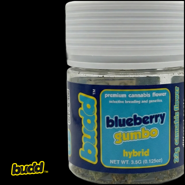 Blueberry Gumbo 3.5g Premium Flower Smalls | BUDD