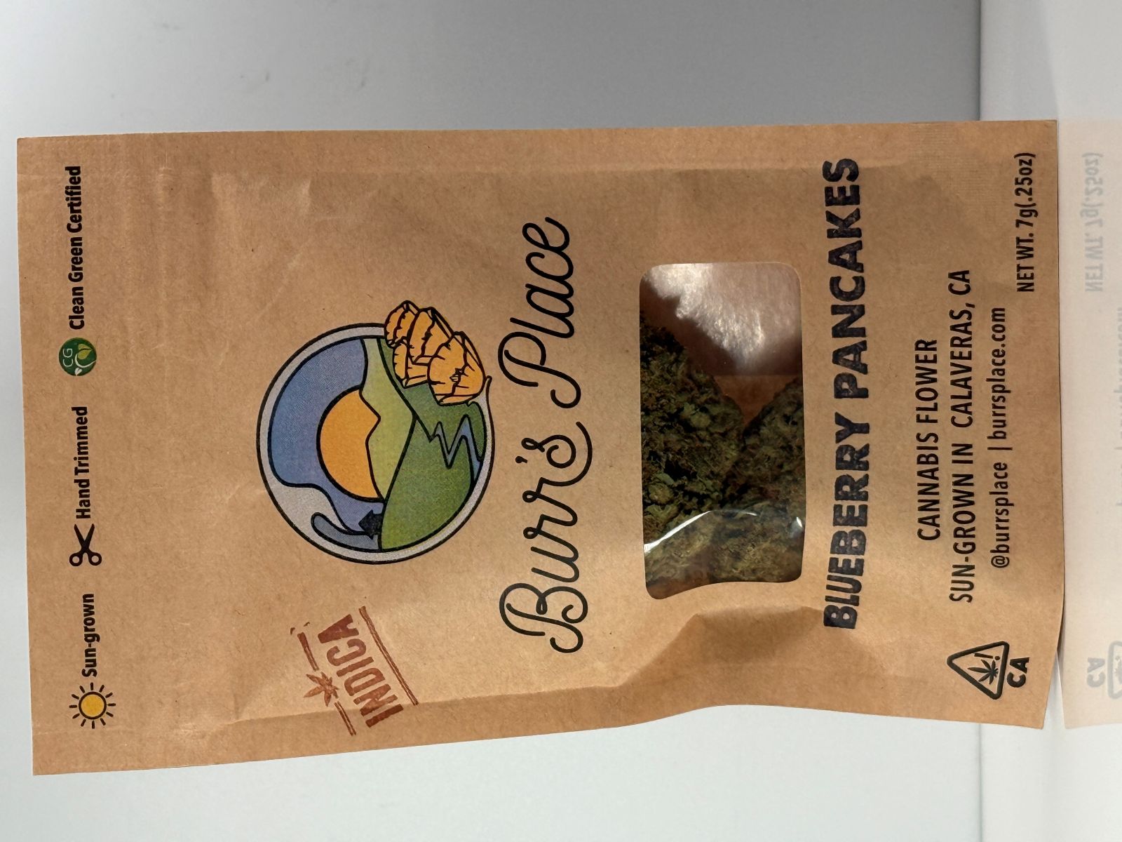 Burr's Place Blueberry Pancakes 1/4 PD 25%