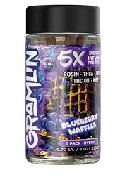 Gramlin: Blueberry Waffles - Gramlin
