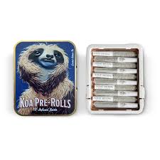 KOA: Bolo Runtz