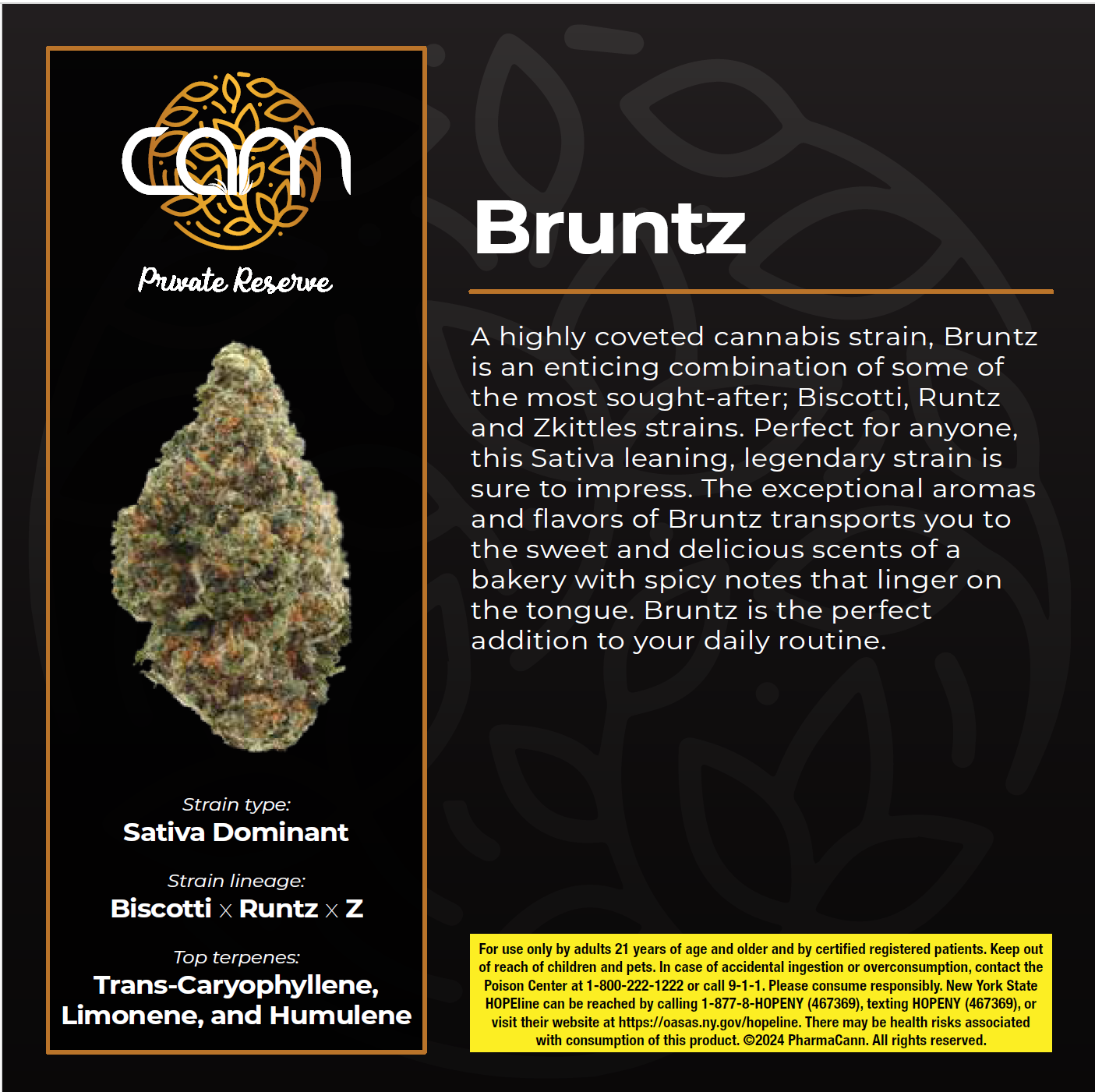 CAM | Bruntz | 14G Sativa