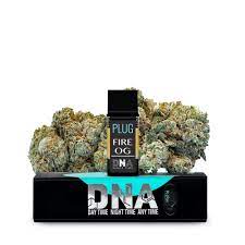 Plug n Play: Fire OG